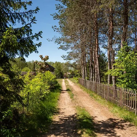 Cisza, I Wy * Rokity (Pomerania)